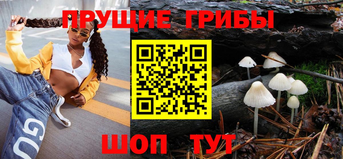 Галлюциногенные грибы ЛСД  Вход с VPN  Севастополь  где продают наркотики  Галлюциногенные грибы прущие грибы 