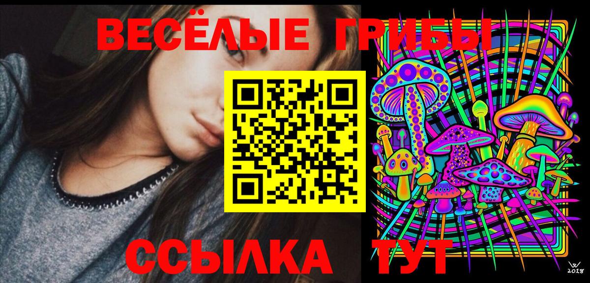 Галлюциногенные грибы GOLDEN TEACHER Севастополь